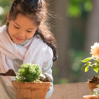 5 dicas para criar uma horta para crianças em casa