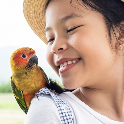 Entenda como ensinar seus filhos a ter respeito aos animais